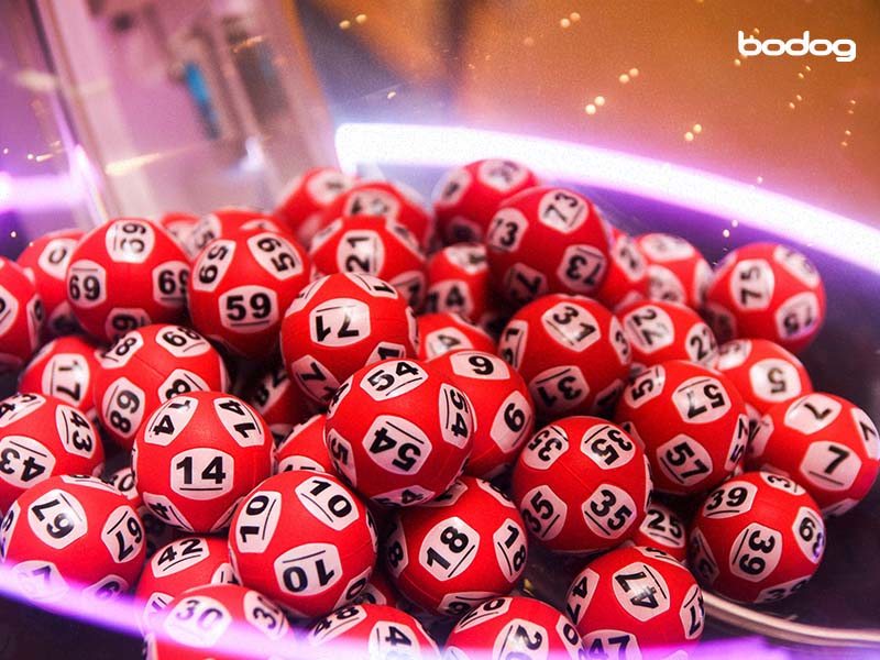 ¿Cómo funciona el bingo online? bbrbet | NAYA