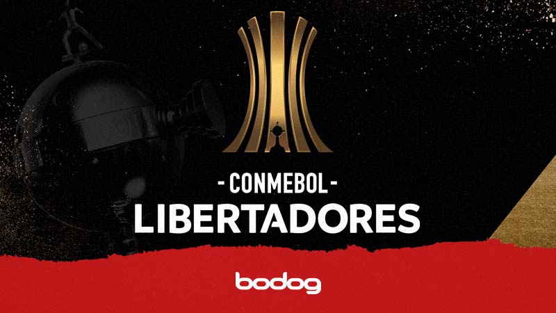 Origen y formato de la Copa Libertadores + mejores tips de apuesta y casinos online en Chile con NAYAfacil