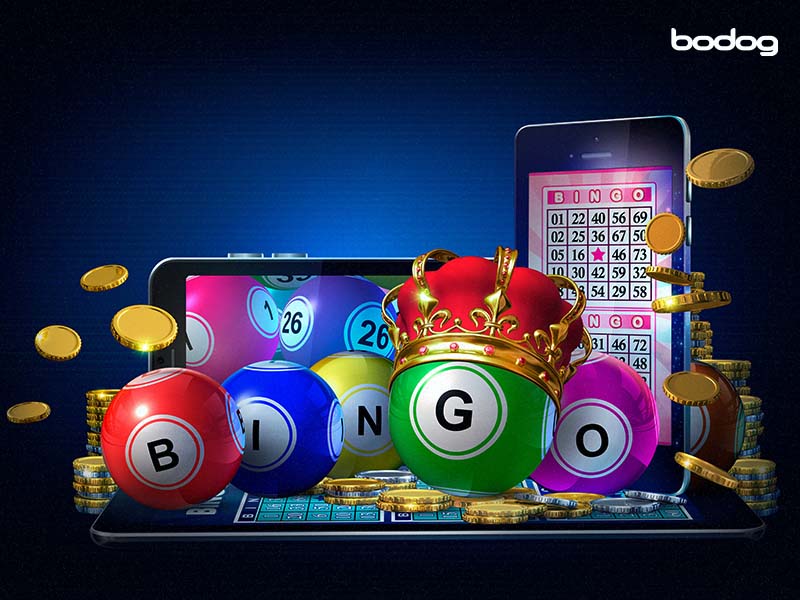 El video bingo: ¡Una tendencia mundial en crecimiento! | bbbet 2025